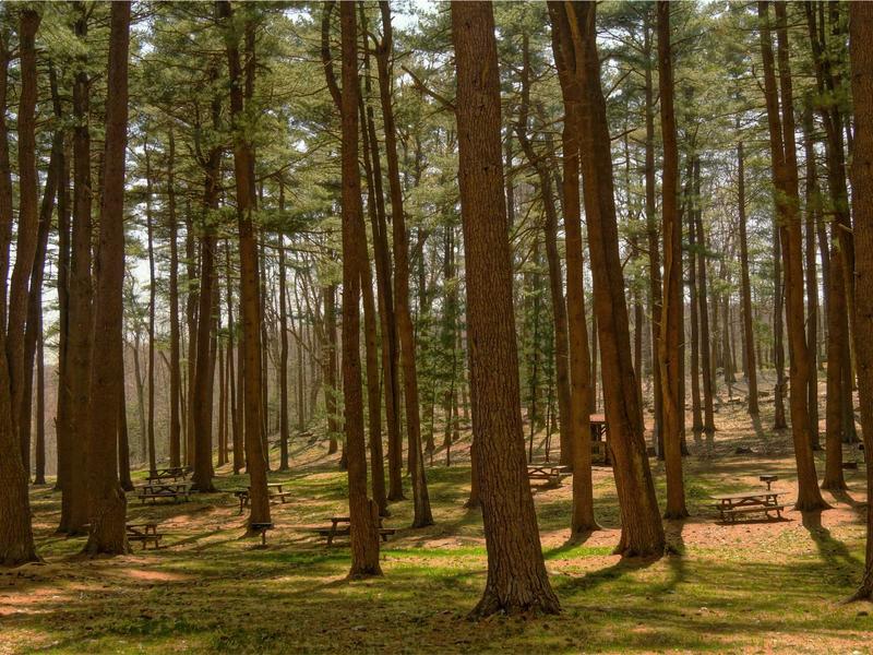 sudoku magazine section