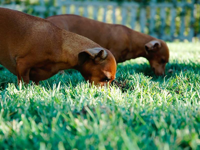 sudoku magazine section screenshot 5